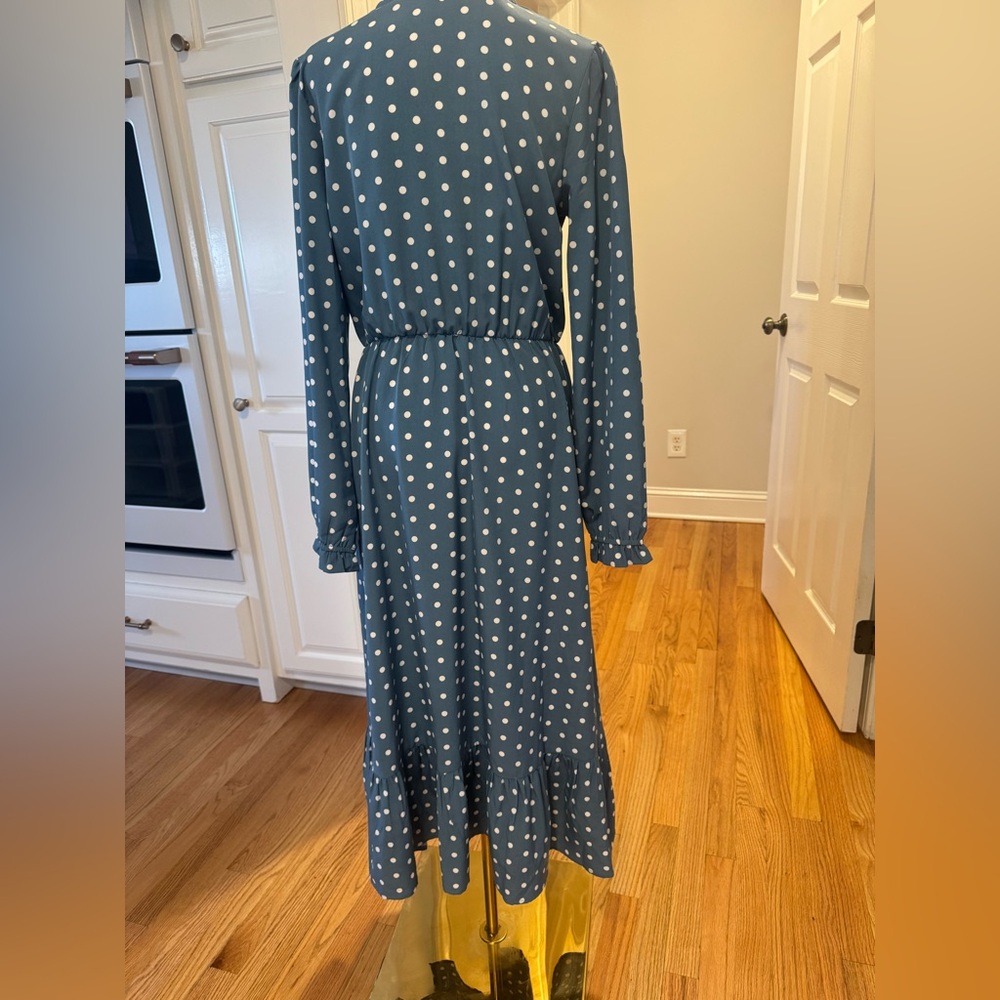 Polka Dot Blue Maxi Dress - Picture 6 of 7